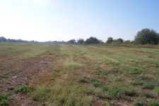 SSCA0102.webp