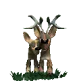 avatar_41811.webp