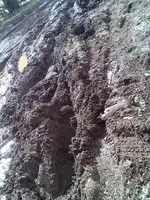downsized_0219001449.webp