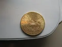 $20gold 003 (Small).webp