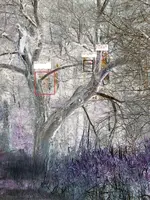 ghost_2explaind.webp