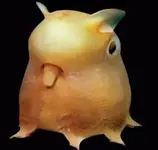 ATT00006.webp