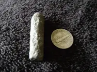 bullet 005.webp