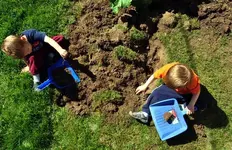 052809_dirt1.webp