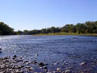 yuj.webp