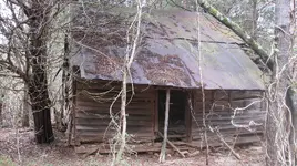 cabin 436.webp