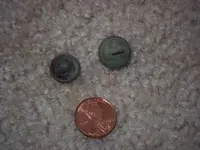 zobutton 007.webp