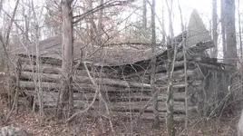 cabin 424.webp