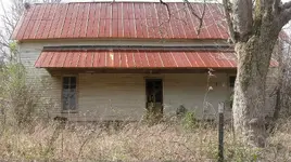 cabin 411.webp