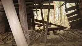 cabin 441.webp