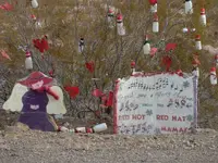 DSCN0420.webp