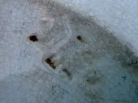 DSCF5614.webp