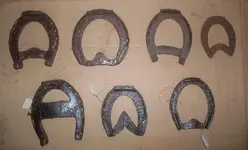 364455d1332363078-horseshoe-oddities-any-others-sdc11353.webp