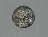 coin 1.webp