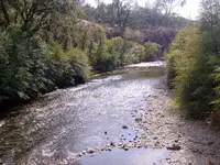 ph2301172420102211583.webp
