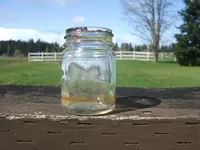 bottle 016.webp