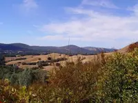 222222.webp