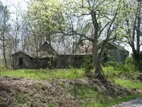 003.webp
