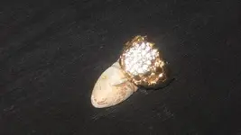 ring 010.webp