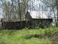 004.webp