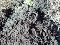 100_1101.webp