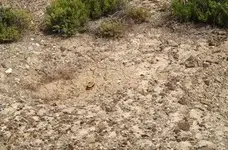 Sand 132 003.webp