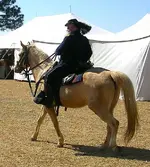 Bentonville 1450006.webp