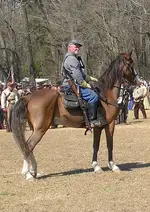 Bentonville 1450010.webp