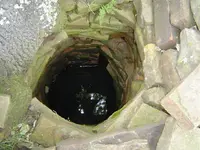 Old Farm Finds 002.webp