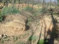 S7301560.webp