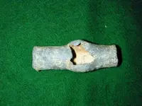 cannon.webp
