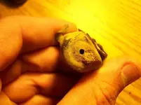 what are they relics 261.webp