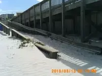 daytonasandedin.webp