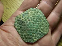 what are they relics 256.webp