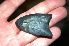 clovis3681.webp