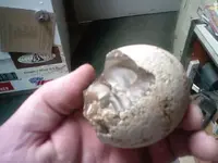 0312101256-01[1].webp