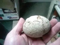 0312101255-01[1].webp