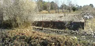 DSC00120.webp