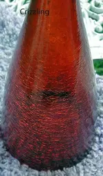 DSCN2556.webp