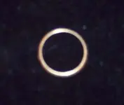 ringgoldmens.webp