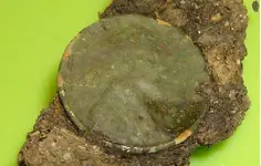 Mexican Coin Collection 1951 Scale Wheat.webp