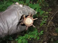 I and mortar shell.webp