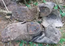 german boots.webp