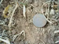 S3010015.webp