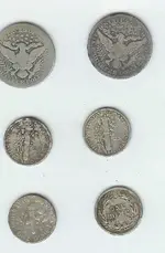 silver back.webp