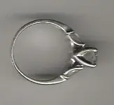 071506platring2.webp