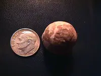 Top view of .69 Cal Bullet.webp