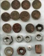 TodaysFinds.webp