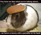 \"You\" bunny.webp