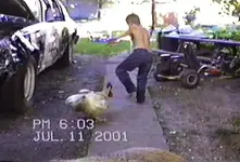 ChickenChase.webp